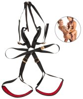 Anteprima: Bad Kitty Body Swing Deluxe