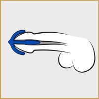 Anteprima: Spina del pene Ancora dello sperma