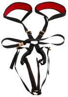 Anteprima: Bad Kitty Body Swing Deluxe