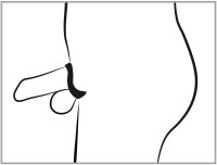 Anteprima: Penis Käfig mit Dilator