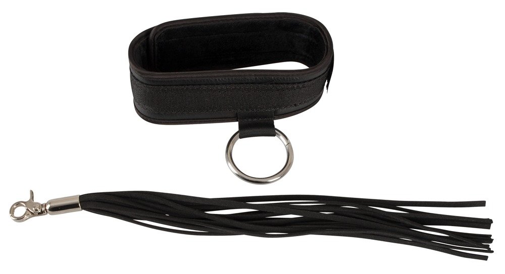Halsband und Flogger