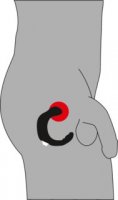 Anteprima: Prostata-Vibrator für besondere Orgasmen